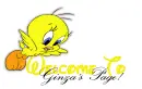 Welcome To GinzaÂ´s Page