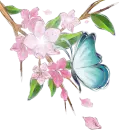 Flowers, the butterfly.