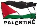 palestine flag