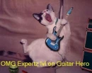 cat guitar hero