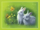 Bunnies