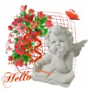 Hello