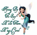 Flying By To Say Hello There,Hugs Carol
