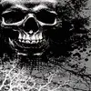skull