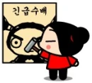 pucca