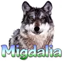 wolf