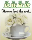 FLOWERS....RITA