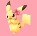 Pika Pika Pretty