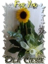 For You ~~ sunflower