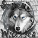 Grey Wolf
