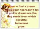 Dream