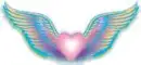 ANGEL WINGS