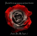 FOREVER 