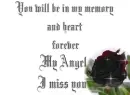 Remembrance of my Friend 