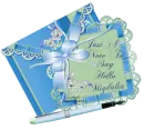 JUST A NOTE TO SAY HELLO/MIGDALIA