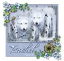 white wolves