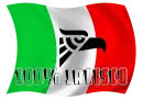100% JALISCO