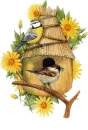 Birds 