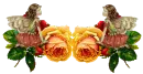 Roses & Butterflies