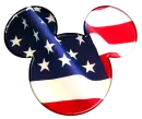 USA FLAG