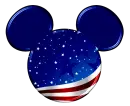 AMERICAN FLAG