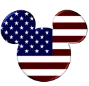 USA FLAG 2