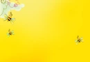 Brights Bees