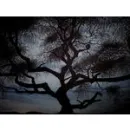 Emo Tree