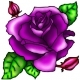 violet rose