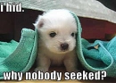 CUTE PUPPIE