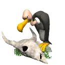 Burung memakan bangkai