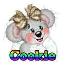 cookie
