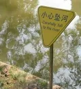 FUNNY!