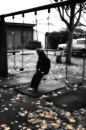 swing