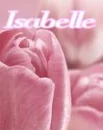 Pink Rose - Isabelle
