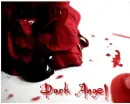 rose in blood