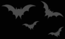 black and grey bats