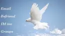 dove