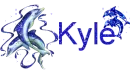 Kyle Dolphins