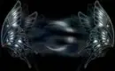 buterflys gothic