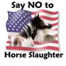 AMERICAN'S DON'T