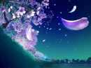 cherry blossoms