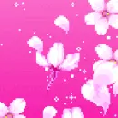 pink flowers