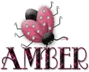Amber Bugs