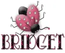 Bridget Bugs