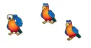 Parrots!