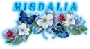 migdalia