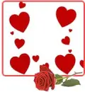 HEARTS N ROSE