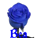 Bea's Blue Rose