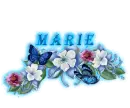 marie blue flower